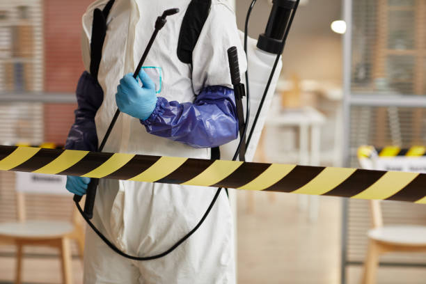 Professional Sewage Cleanup technician working in Bowdon, GA